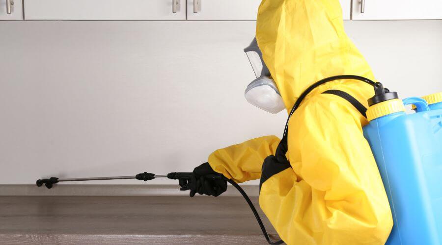 Professional Residential Pest Control Services in Sacramento